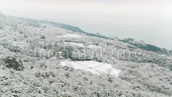 在近海岸和冬季大海的雪覆盖的山坡和山林中鸟瞰现代别墅视频的预览图