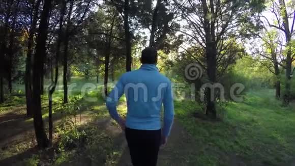 阳光明媚的秋日男子游客在秋天的森林里散步4K视频的预览图