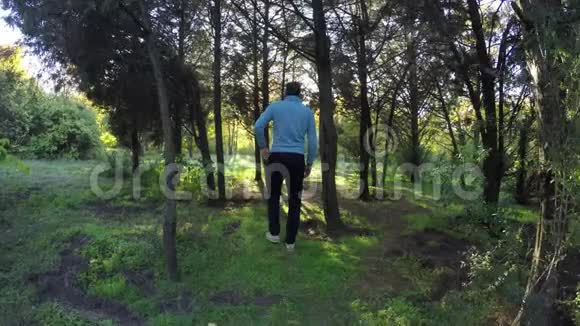 阳光明媚的秋日男子游客在秋天的森林里散步4K视频的预览图