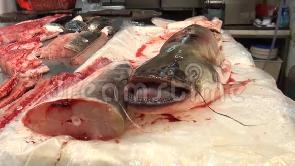 在香港鱼市割活鱼出售视频的预览图