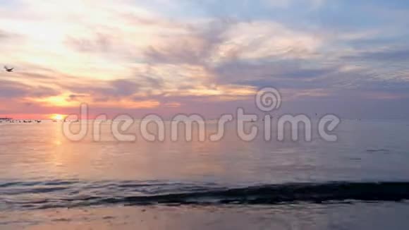 美丽的粉红色日落在海上海鸥飞过大海视频的预览图