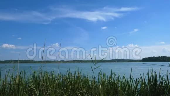 透过芦苇在一个大湖上看蓝天自然景观视频的预览图