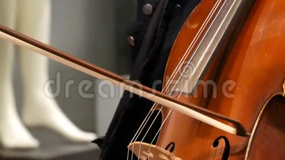 街头音乐家演奏大提琴近距离观看手套上的大提琴手轻轻地弯曲琴弦视频的预览图