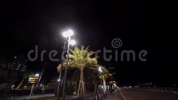 棕榈树在夜城视频的预览图
