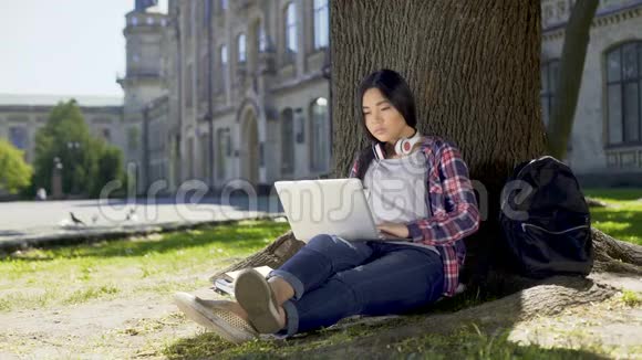 大学生坐在校园树下用笔记本电脑写期末论文视频的预览图