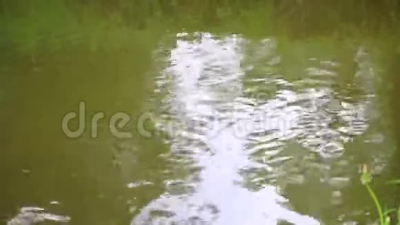 河流中的水流从水面到河岸进行测量视频的预览图