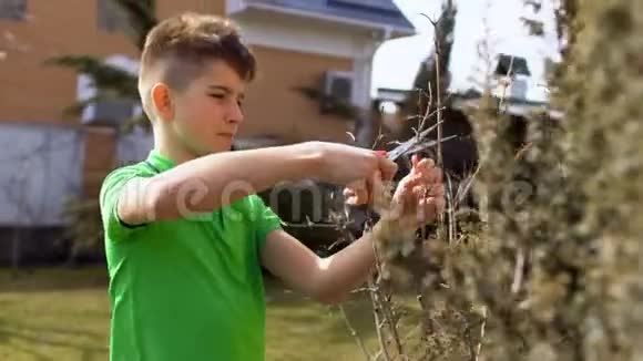 少年在花园里剪干树枝视频的预览图