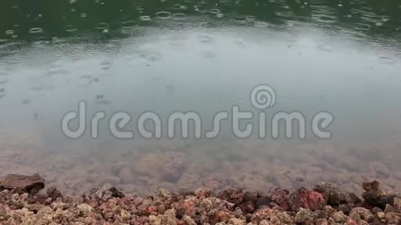 雨点落在山湖水面上从大雨滴中散出的圆圈穿过清澈的水视频的预览图