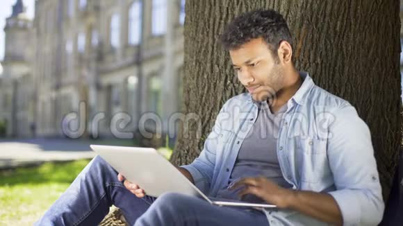 多种族大学生坐在树下拿着笔记本电脑检查最后的纸张视频的预览图