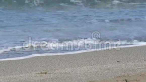 海边的巨浪视频的预览图