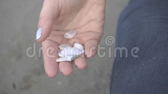一只手握着各种各样的贝壳哦她的手掌在海面上视频的预览图