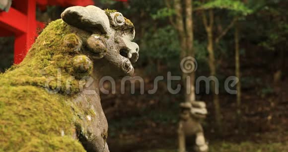 日本静冈神社箱根神社的守护犬视频的预览图