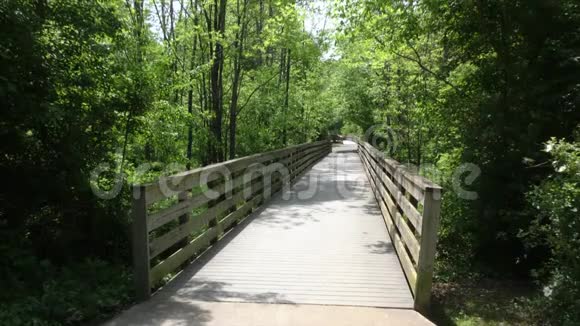佐治亚州罗斯威尔公园俯瞰一座人行桥让人们穿过沼泽视频的预览图