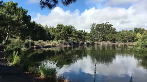 布卡昆霍自然公园视频的预览图