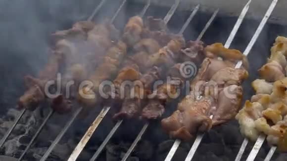 烤肉串上的肉烹饪野餐食物控制烤架上的食物准备视频的预览图