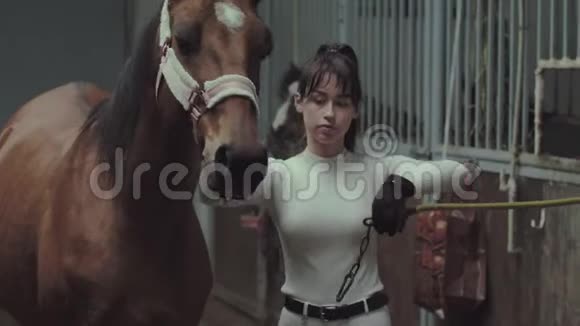 一个骑手抚摸她的马视频的预览图