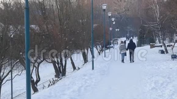 冬季公园景观人们在冬季公园散步视频的预览图