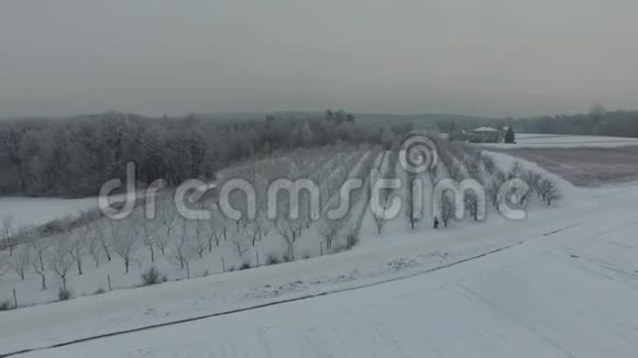 冬季景观田野森林果园鸟瞰视频的预览图