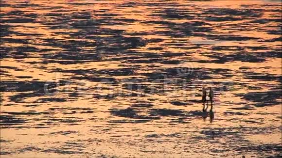 在低潮时有银色的海滩漫步者视频的预览图