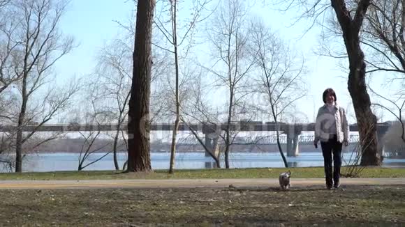 成年妇女与约克郡猎犬在春天公园散步视频的预览图
