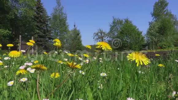 镜头显示夏天的草地和花园视频的预览图