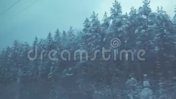 从火车的窗户看冬天的森林视频的预览图