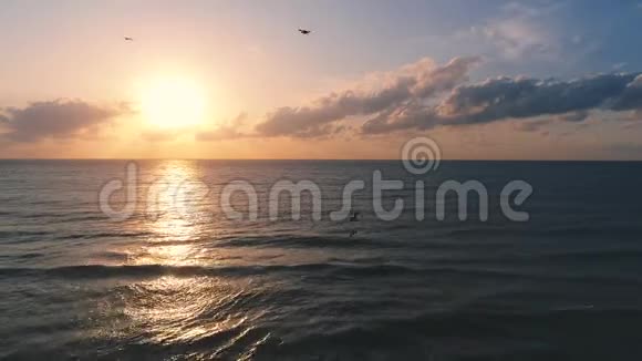 海滩上的海鸥和日出在海浪上放松鼓舞人心的早晨视频的预览图