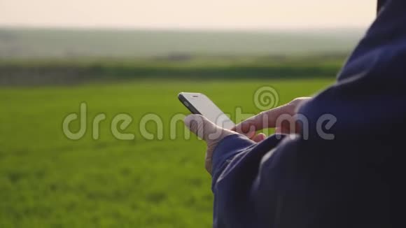 农学家成熟的人在农业农场使用智能手机把手里拿着手机的农民关在田里视频的预览图
