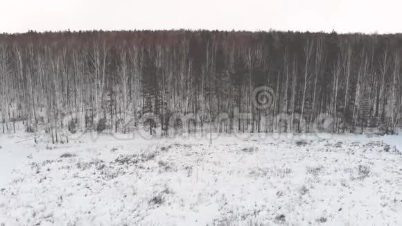 冬季森林农村公路俯视图库存雪覆盖乡村道路的侧景穿过郊区视频的预览图