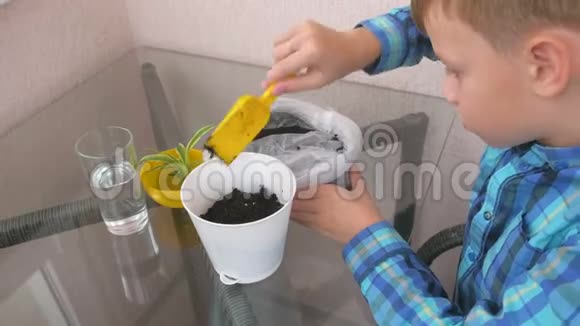 植物护理理念男孩正在种植家庭植物用一个小小的炫耀把地球移到一个罐子里视频的预览图