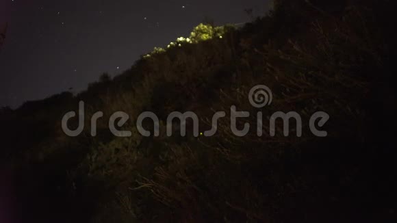 灌木丛中的萤火虫观察神奇的自然夜晚的时光流逝视频的预览图