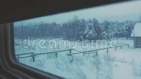 从火车的窗户看冬天的森林视频的预览图