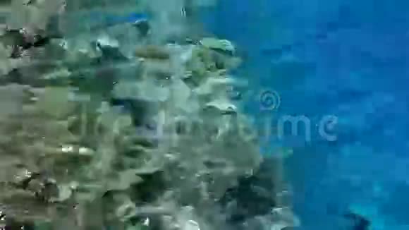 海礁到岸边视频的预览图