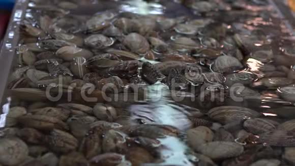 慢动作卖方在釜山的雅加尔奇鱼市出售蛤蜊视频的预览图