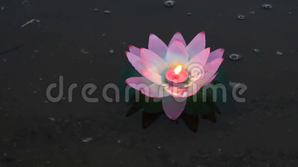 粉色睡莲水上有蜡烛视频的预览图