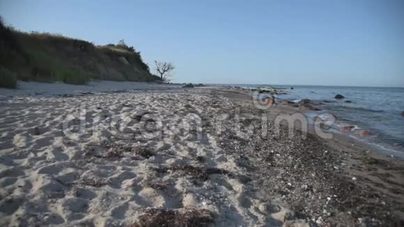 高海岸和空旷的自然海滩在波罗的海视频的预览图