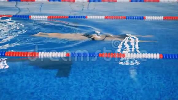 一名女性游泳运动员在水面下移动视频的预览图