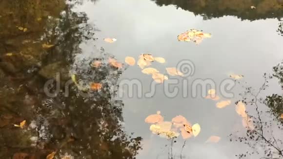 树叶水滴和波浪在湖面上缓慢移动视频的预览图