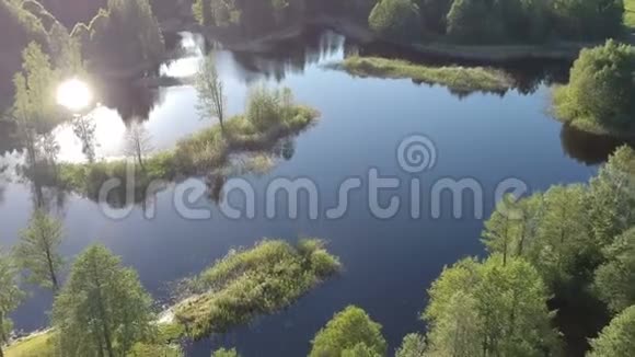 美丽的湖泊景观和海岸森林空中视频的预览图