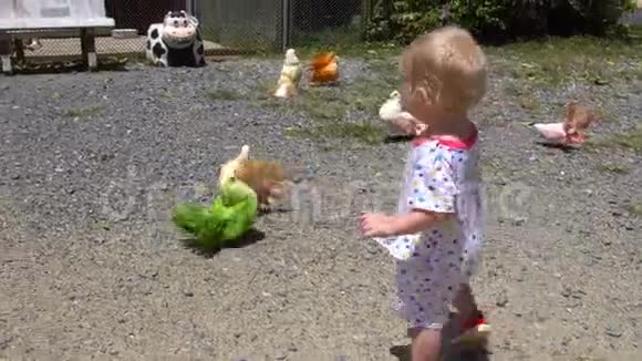 幼儿与鸽子同行视频的预览图