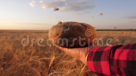 麦粒落在女孩手中的面包上覆盖着一片麦田成熟的谷物倒在美味的面包上慢慢视频的预览图