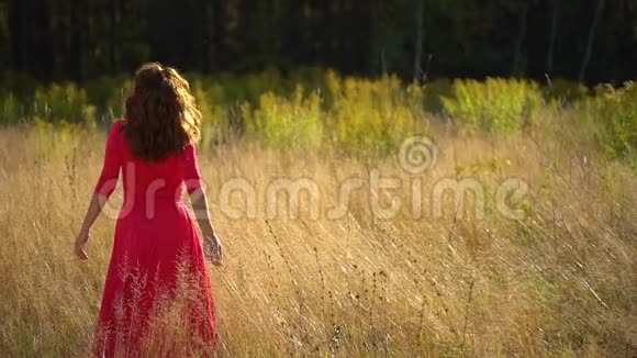 美丽浪漫微笑的年轻女子穿着红色的长裙在夕阳下的森林里美丽快乐的女模特女孩视频的预览图