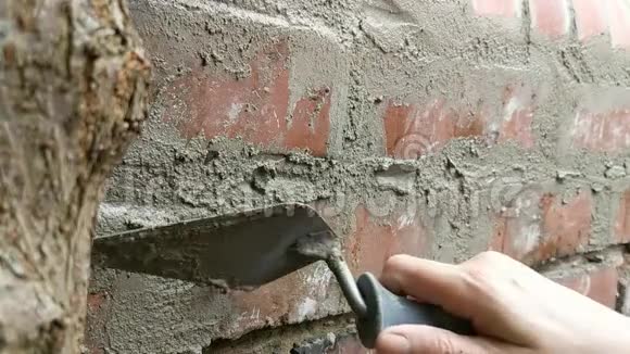 用砂浆将妇女指向砖墙封闭起来视频的预览图