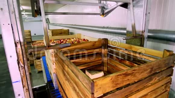果生产装置中洗苹果的过程把苹果浸入水中的木箱视频的预览图