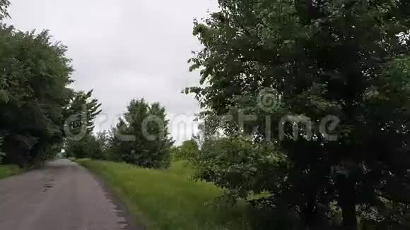 春天夏天开车沿着一条古老的乡村道路行驶林中老沥青路行驶视点驾驶视频的预览图