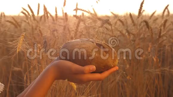熟粮倒在美味的面包上慢动作麦粒落在女孩手中的面包上越过一片田野视频的预览图
