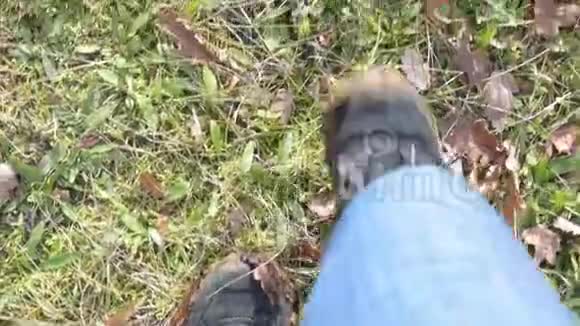 穿着牛仔裤和泥泞的靴子在绿草上行走视频的预览图