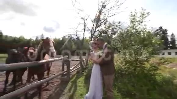 夫妇正和马一起走视频的预览图