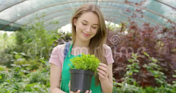 内容女孩抱着绿色植物视频的预览图