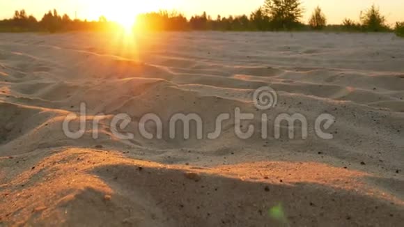 沙漠沙行日视频的预览图